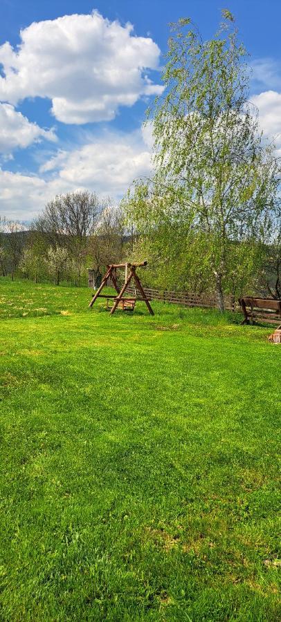 Pensiunea Turistica Retreat Belvedere Vadu Crisului Luaran gambar