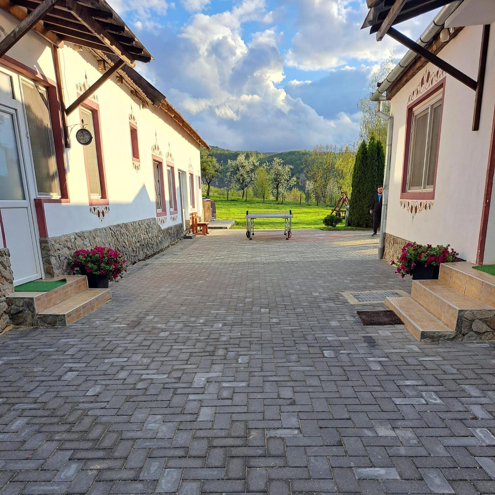 Pensiunea Turistica Retreat Belvedere Vadu Crisului Luaran gambar